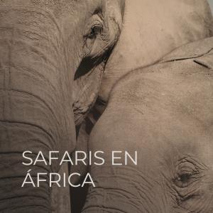 Imagen Temática SAFARIS EN ÁFRICA